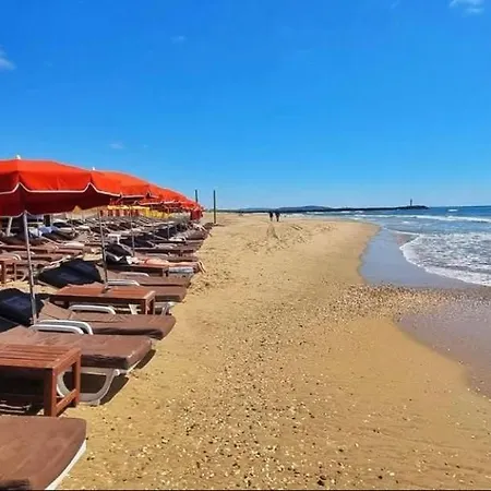 Petit Nid Douillet Lägenhet *